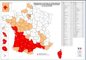 Carte infestation termites ILLE ET VILAINE